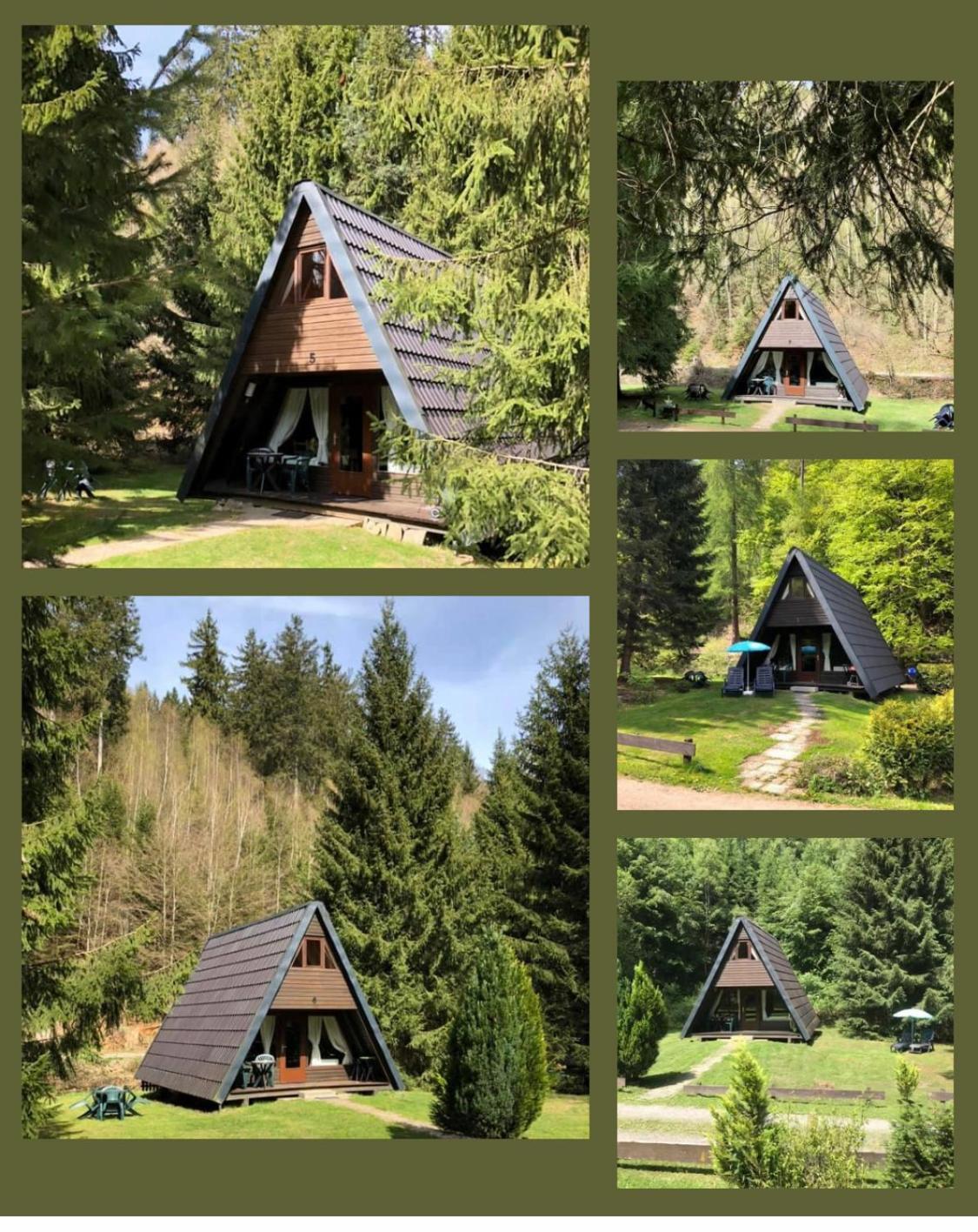 Ferienhaeuser Am Waldschloesschen Lautenthal Zewnętrze zdjęcie