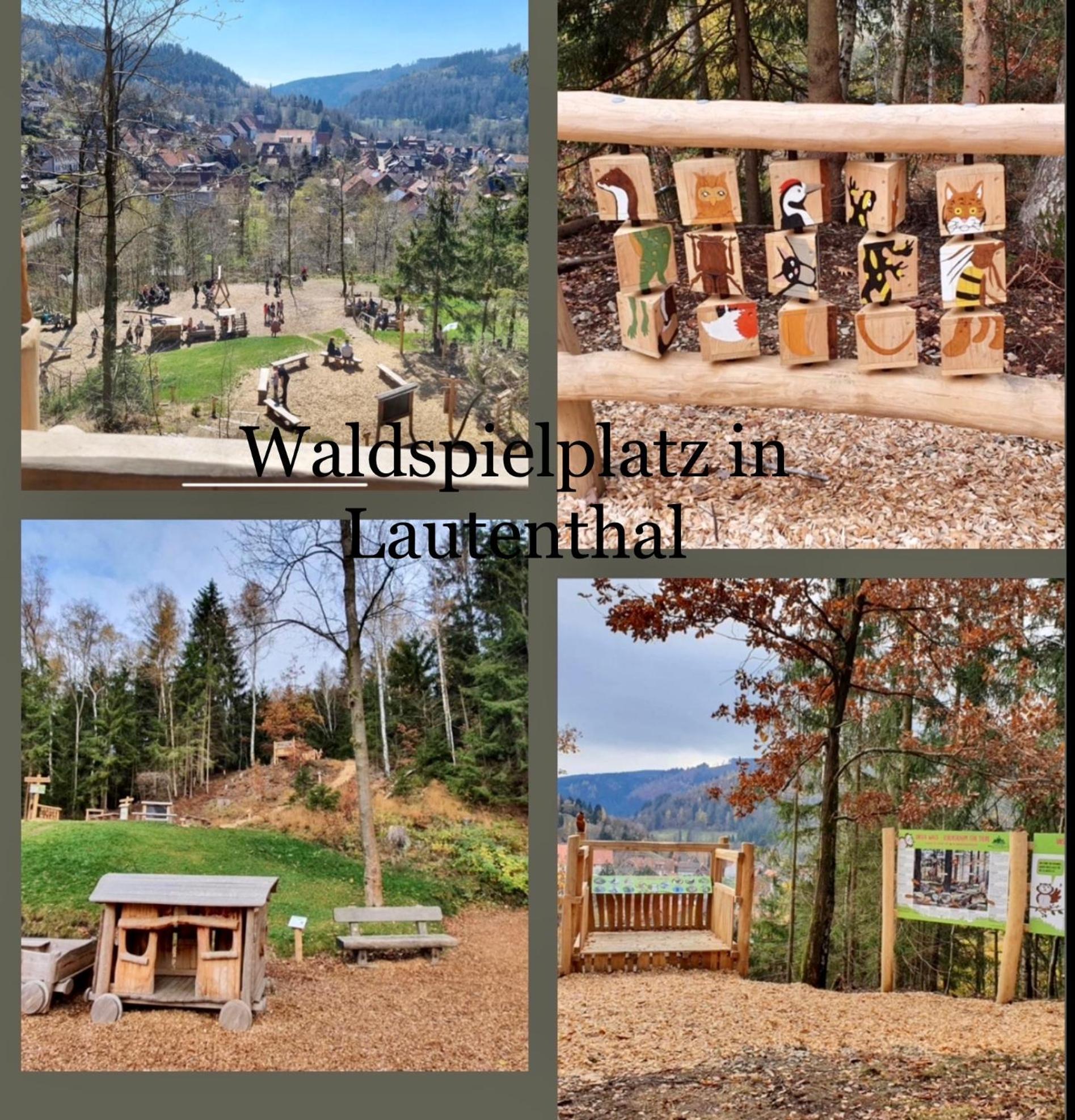 Ferienhaeuser Am Waldschloesschen Lautenthal Zewnętrze zdjęcie