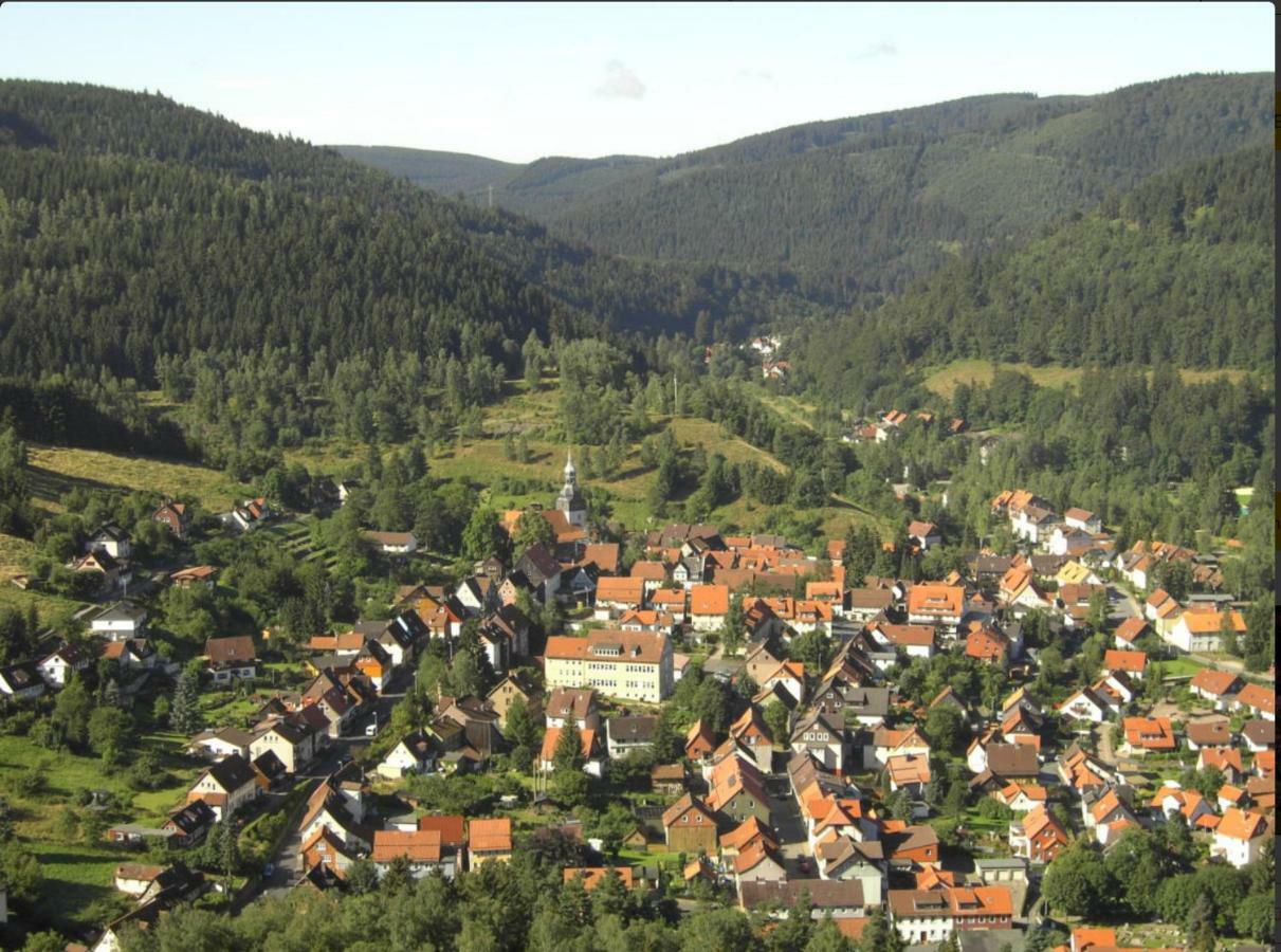 Ferienhaeuser Am Waldschloesschen Lautenthal Zewnętrze zdjęcie