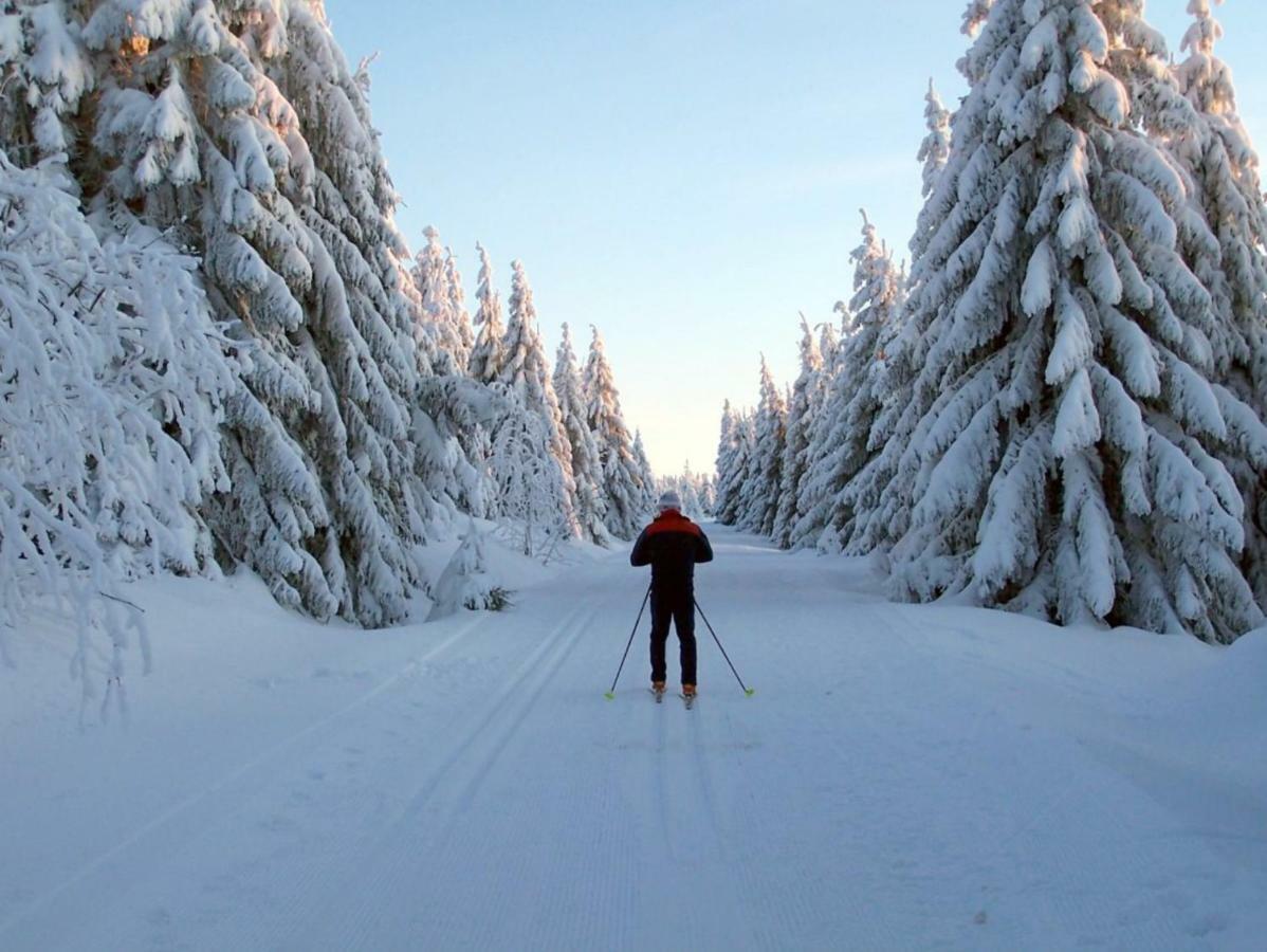 Ferienhaeuser Am Waldschloesschen Lautenthal Zewnętrze zdjęcie