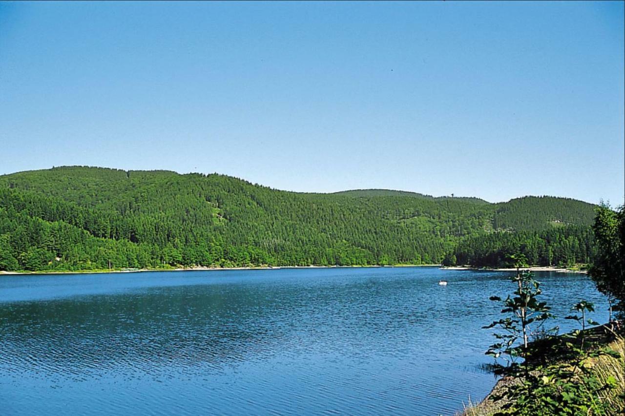 Ferienhaeuser Am Waldschloesschen Lautenthal Zewnętrze zdjęcie