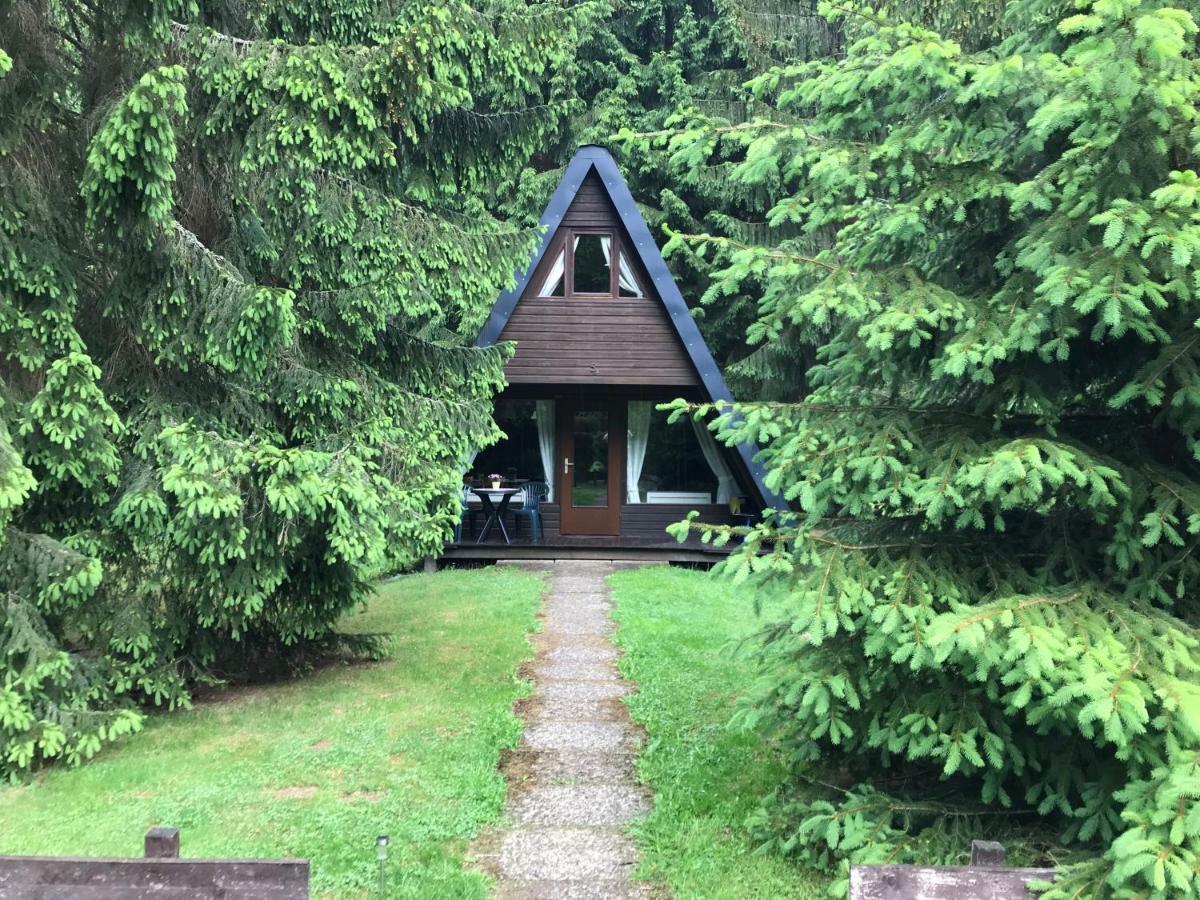Ferienhaeuser Am Waldschloesschen Lautenthal Zewnętrze zdjęcie